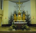 SAM_0345