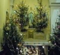 SAM_0350