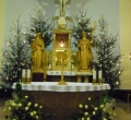 SAM_0361