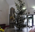 SAM_0363