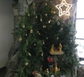 SAM_0365