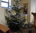 SAM_0369