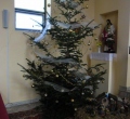 SAM_0371